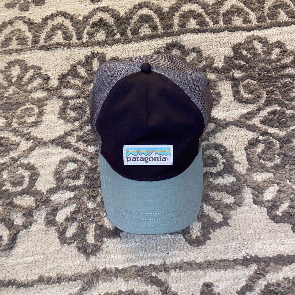 Patagonia hat